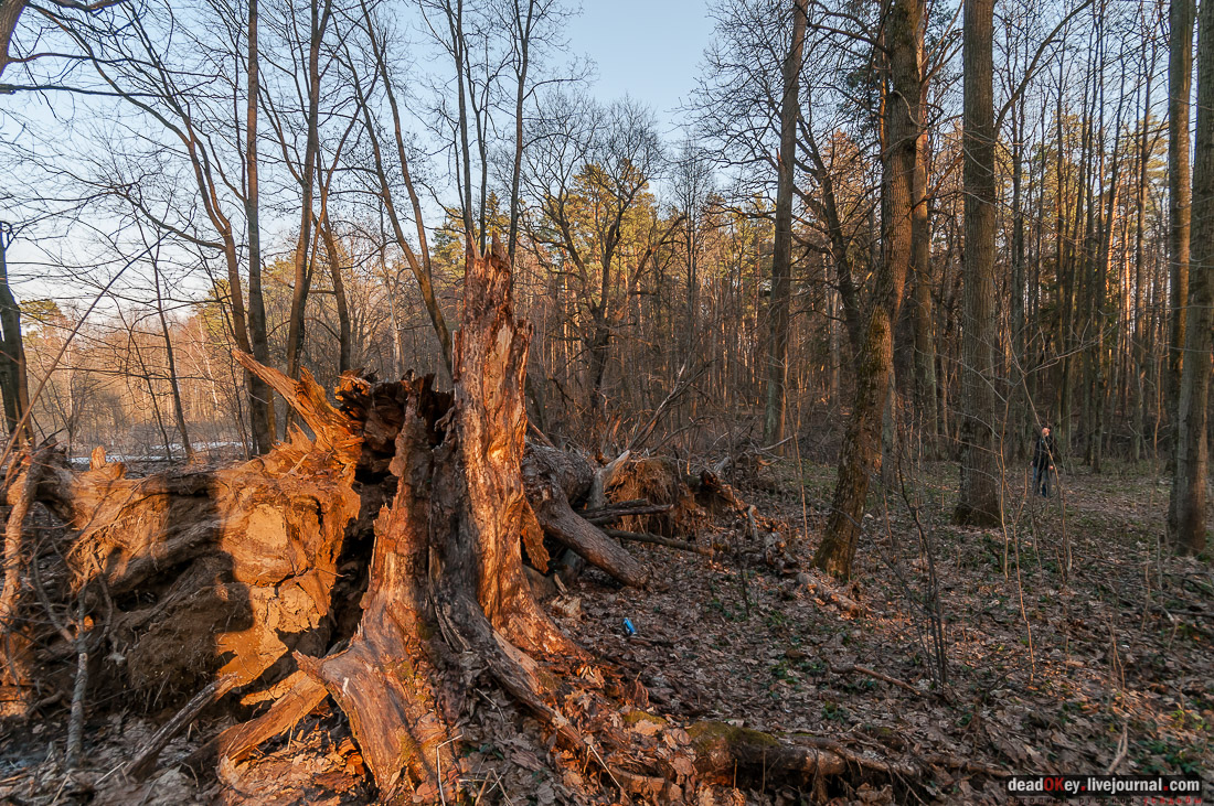усадьба Никольское-Урюпино