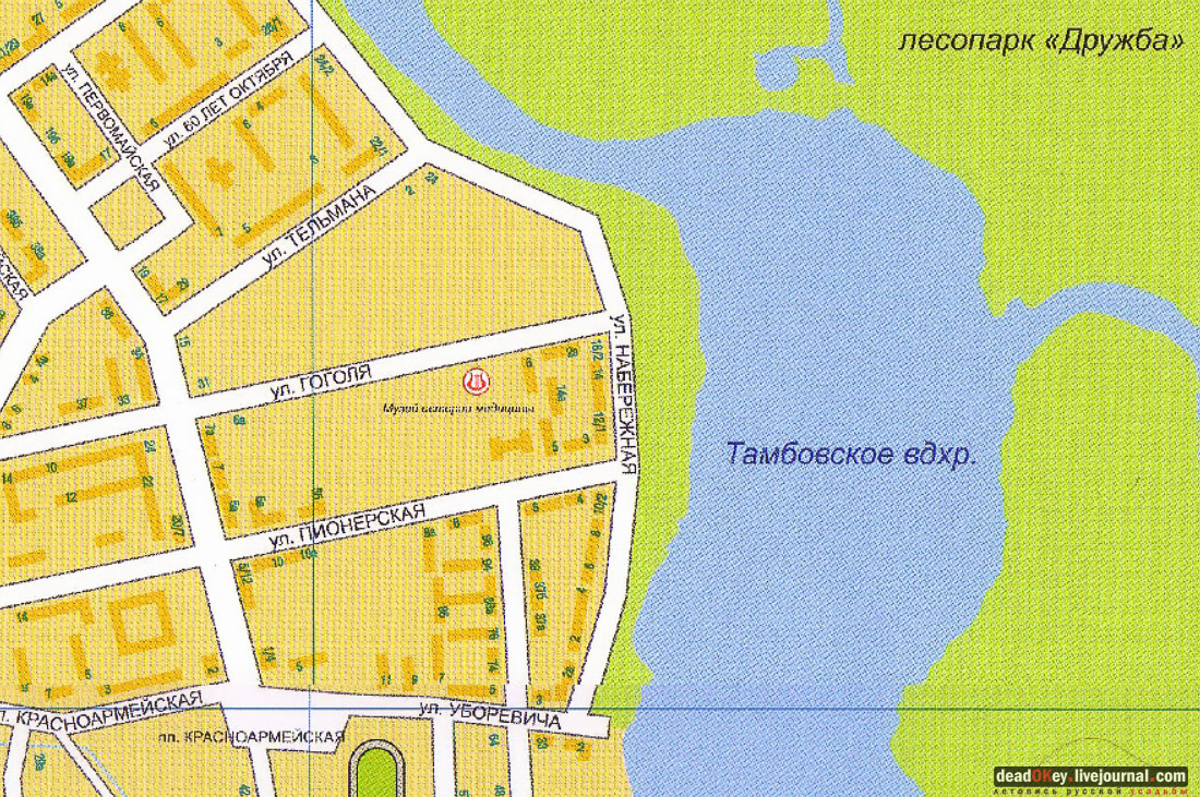 усадьба Асеевых, г.Тамбов