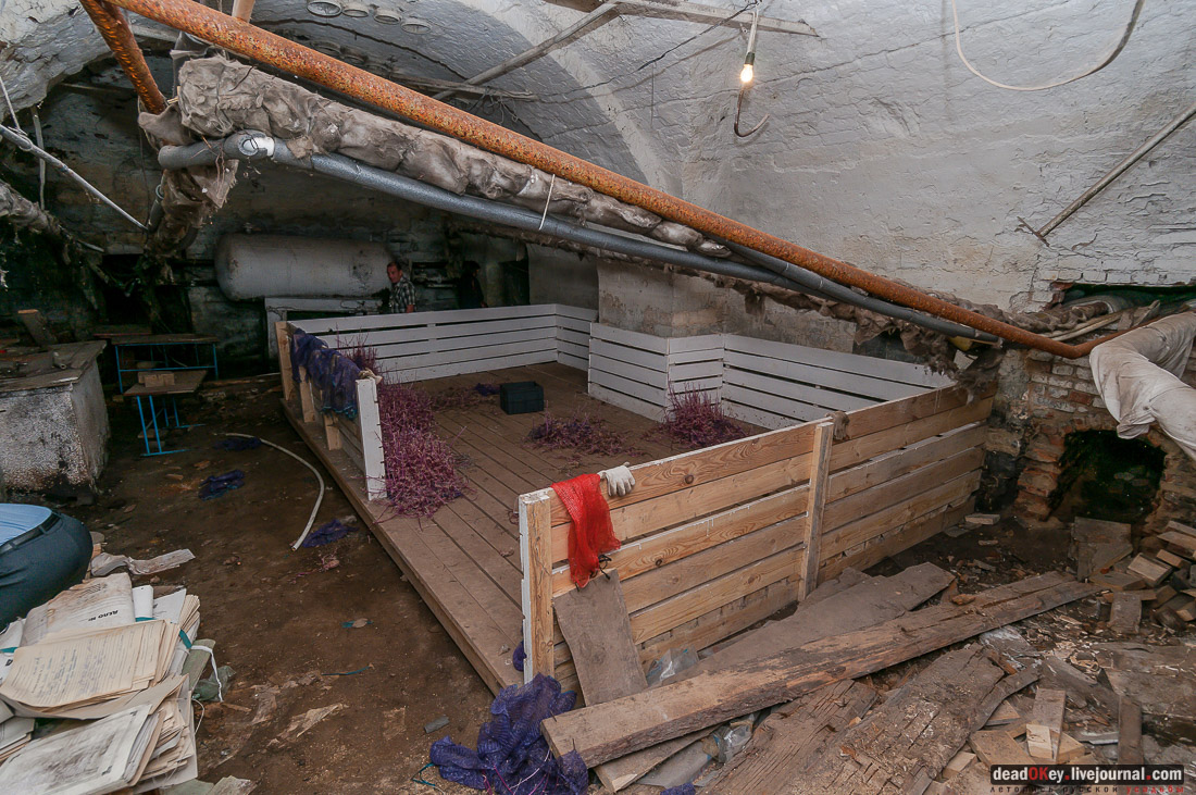 усадьба Баташевых, Гусь-Железный