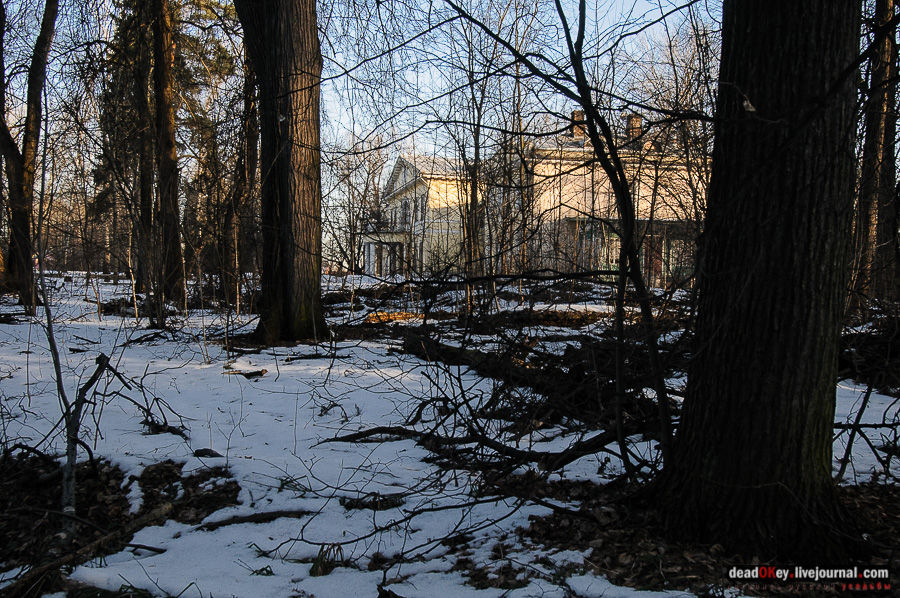 усадьба Виноградово
