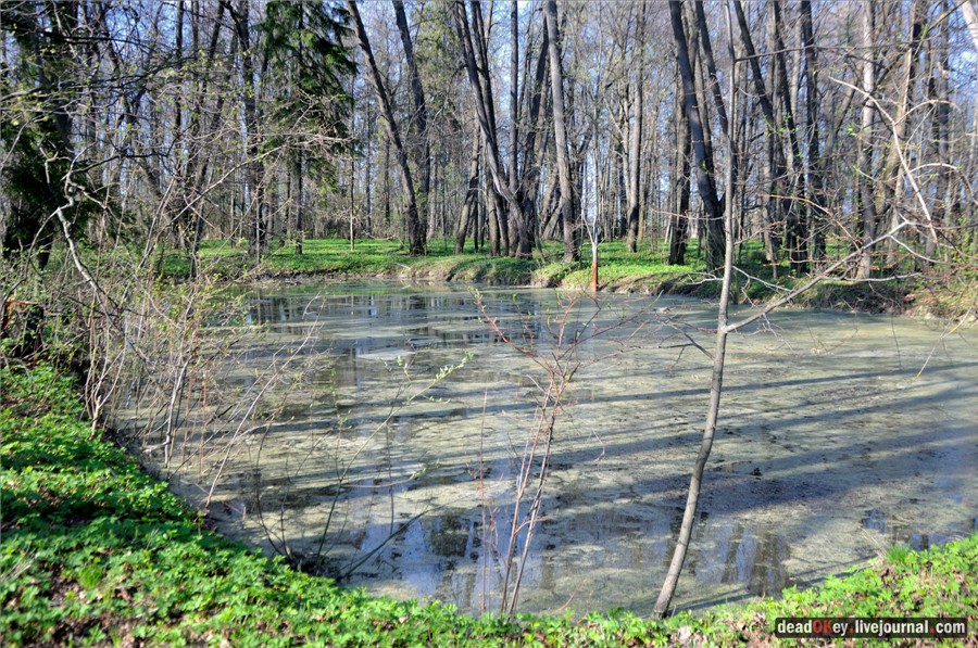 усадьба Орехово