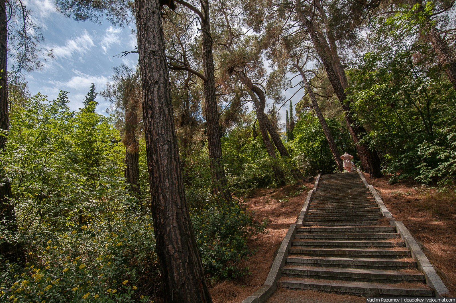 Ливадийский дворец, Крым