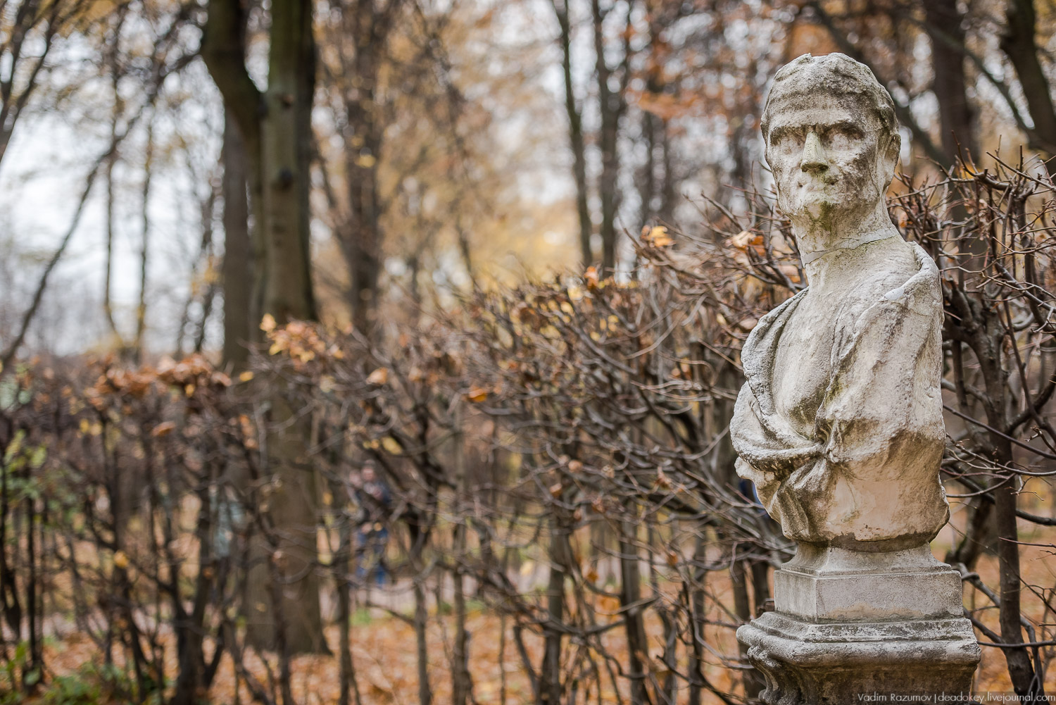 усадьба Кусково, осень 2018 года