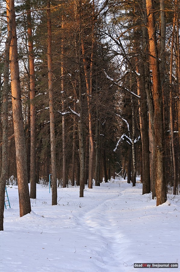 усадьба Андреевское