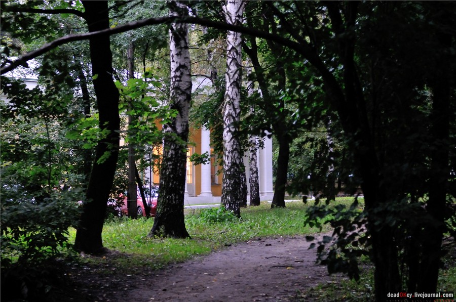 усадьба Строганова Дача