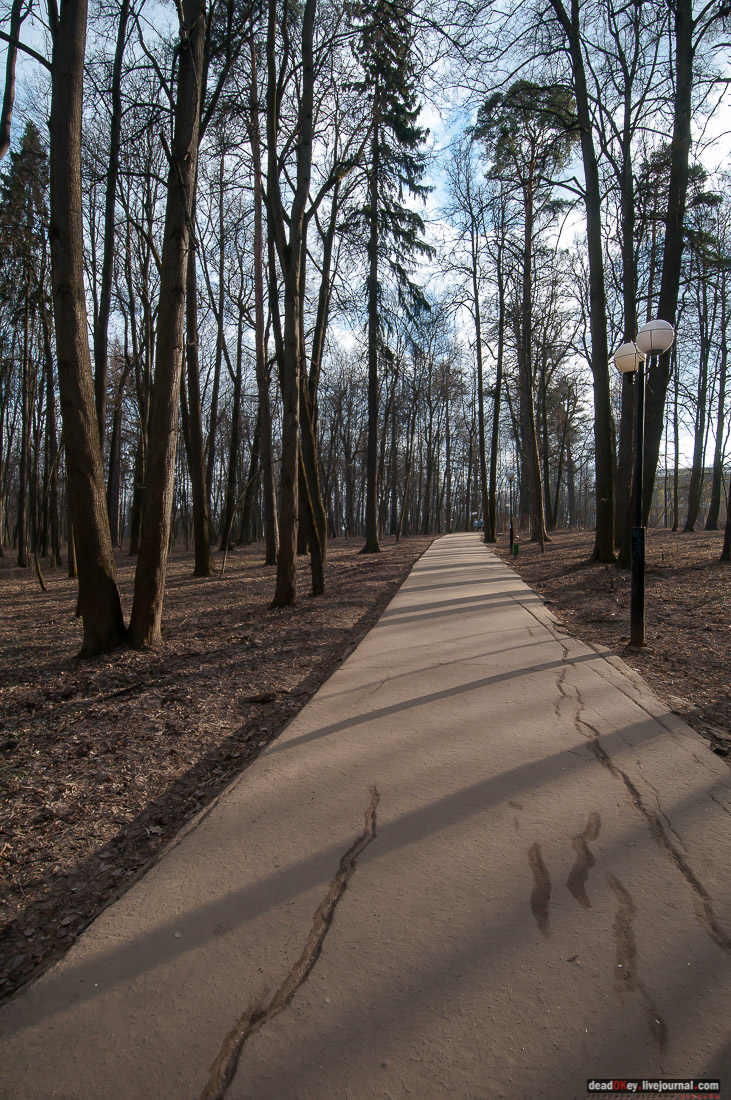 Усадьба Знаменское-Губайлово 