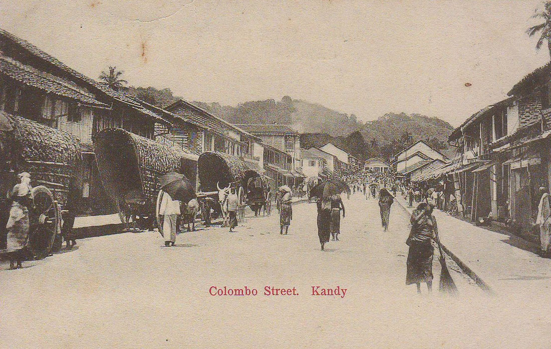 усадьба Мелихово. Чехов на Цейлоне