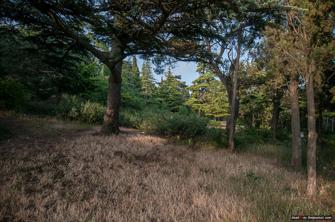 усадьба Романтическая Александрия (Ясная Поляна, Гаспринский дворец в Крыму)