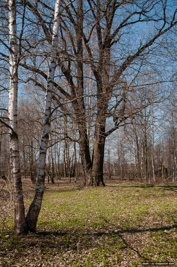 усадьба Савинское (исследование масонского парка)