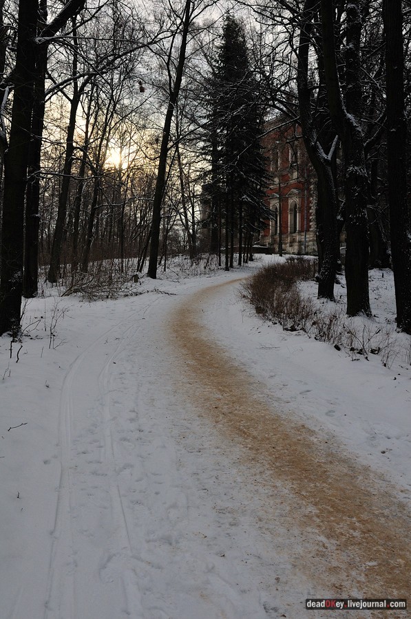 усадьба Быково