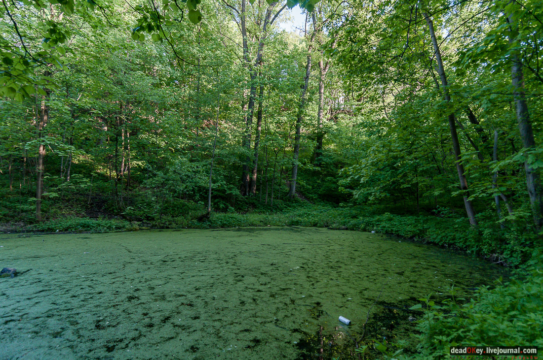 усадьба Кунцево