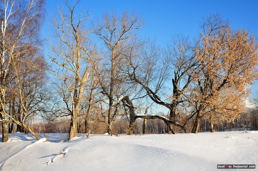 усадьба Старбеево