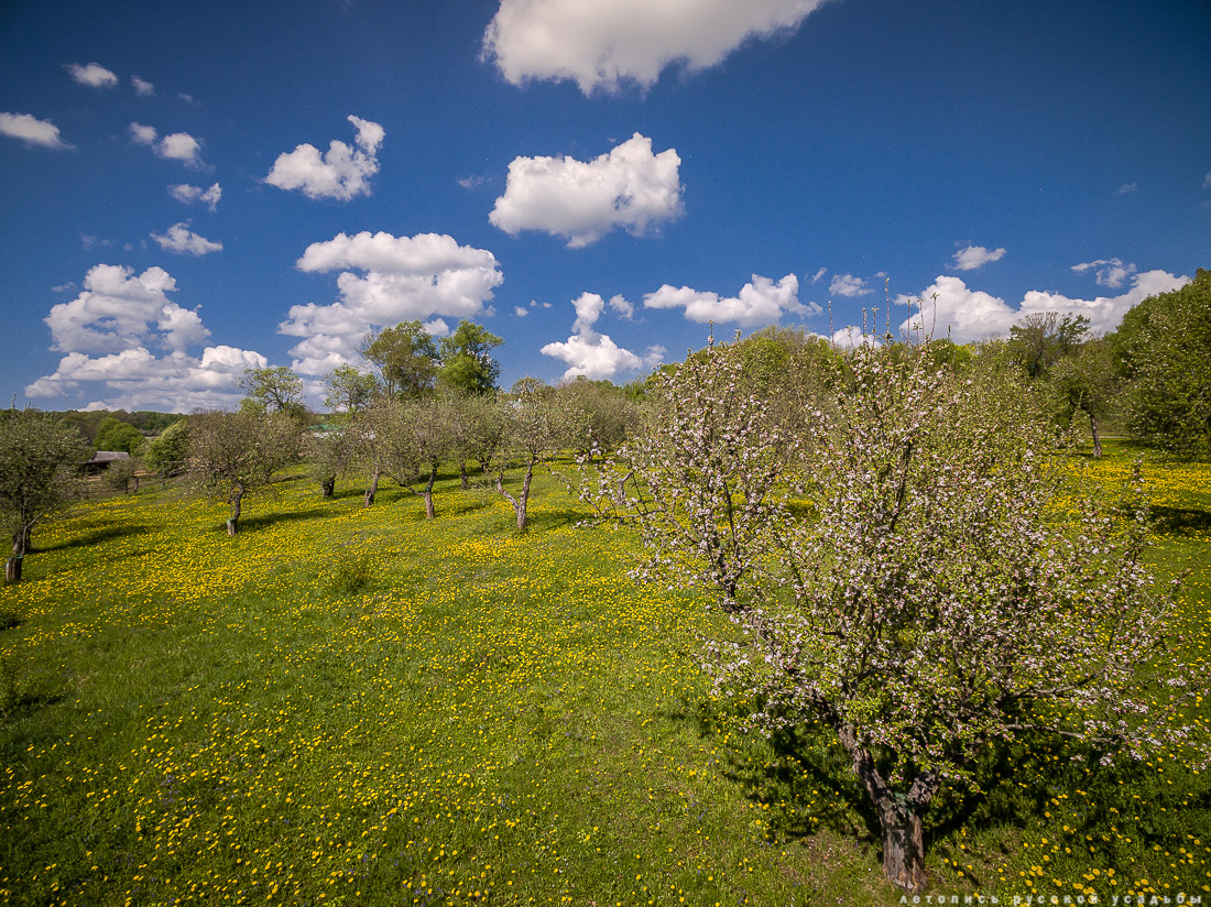 В гости с дроном к Л.Н. Толстому в усадьбу Ясная Поляна, Тульская область, Щекинский район, дер. Ясная Поляна