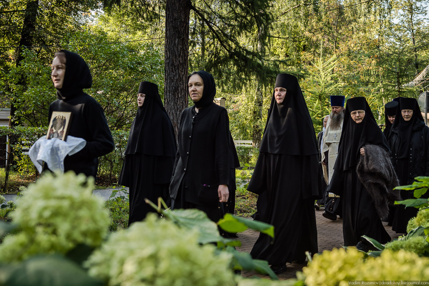 Крестный ход, Красное Село - скит Тихона Задонского, 26 августа 2019 года