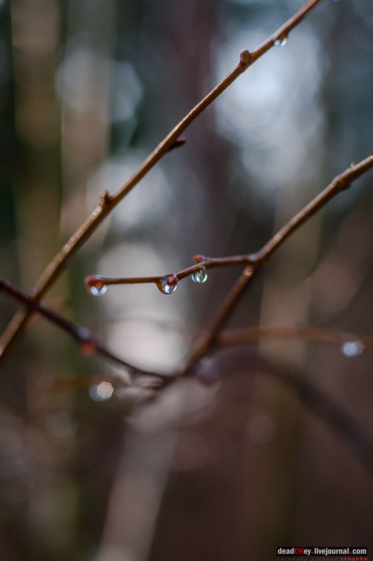 Усадьба Филатово