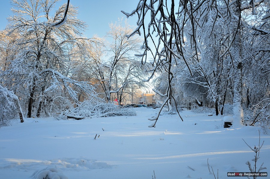 усадьба Полушкино