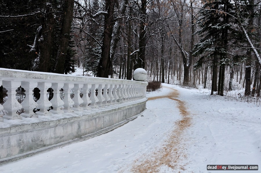 усадьба Быково