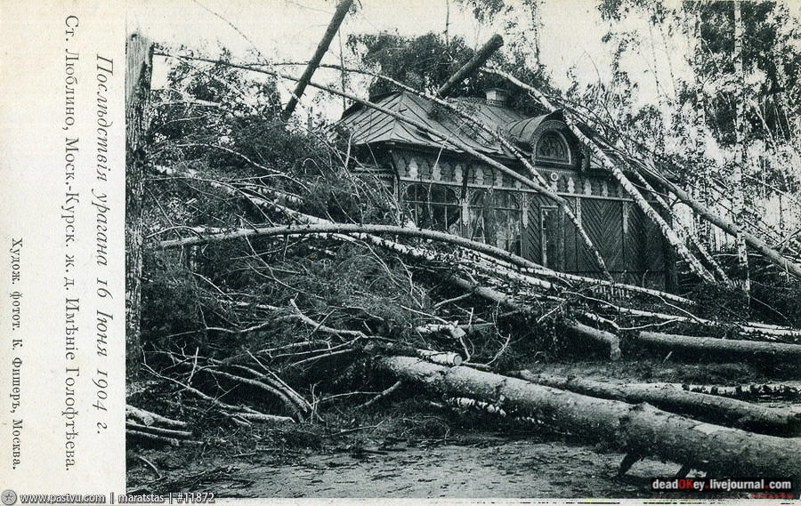 усадьба Люблино
