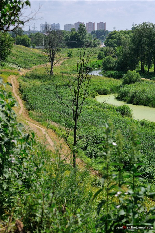 усадьба Образцово