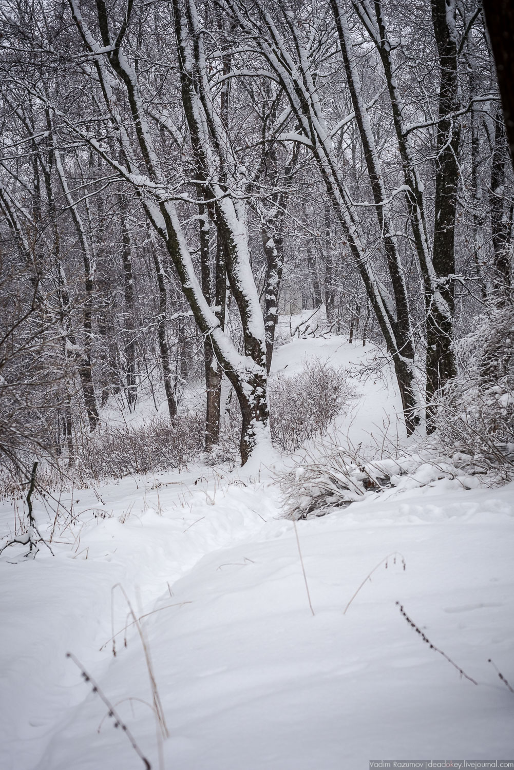 усадьба Горки Ленинские, 2018 год, Летопись русской усадьбы, Вадим Разумов
