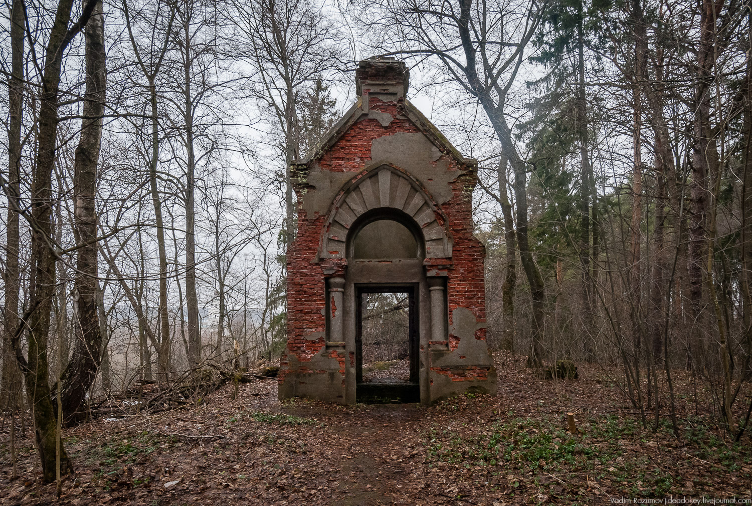 Усадьба Сенницы Усадьба Сенницы