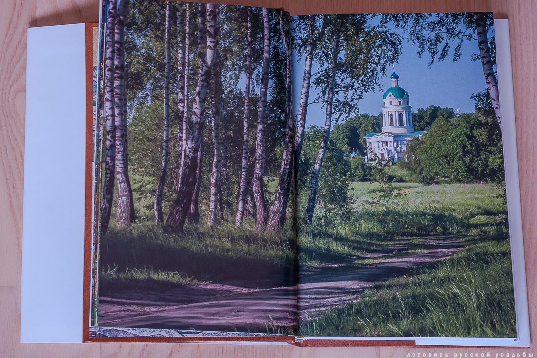 книга Дневник имения-санатория Гребнево, А.Ю. Послыхалин