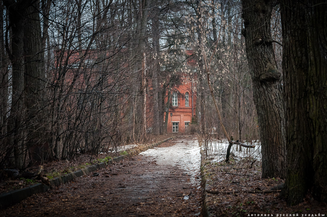 Усадьба Покровское-Стрешнево, интерьеры главного дома, пожар в оранжерее