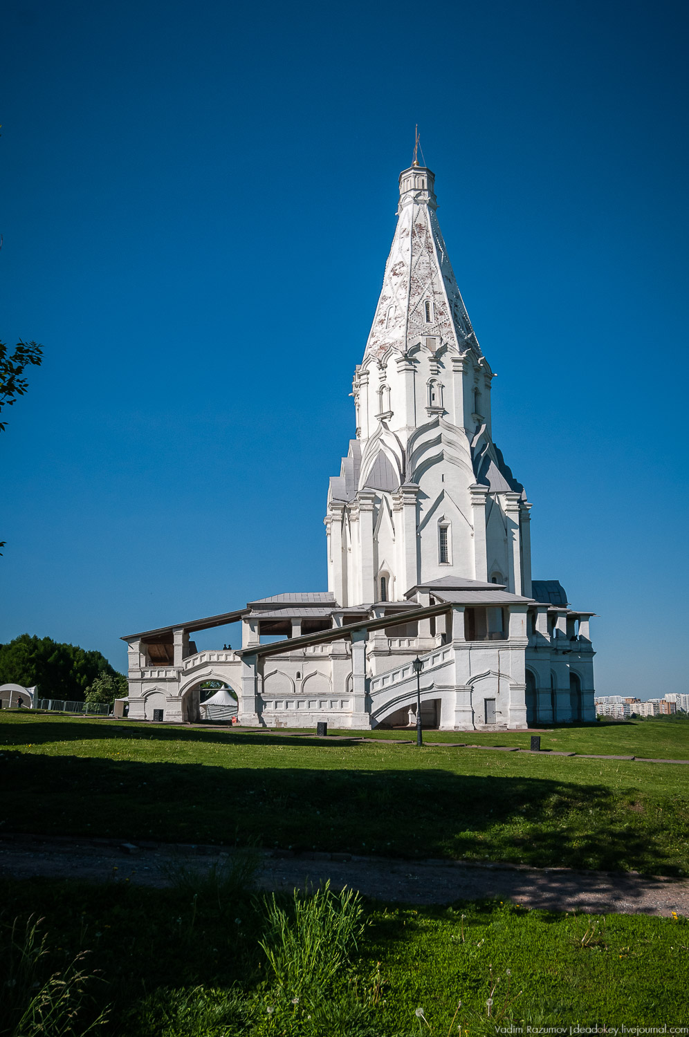Коломенское в мае, цветы