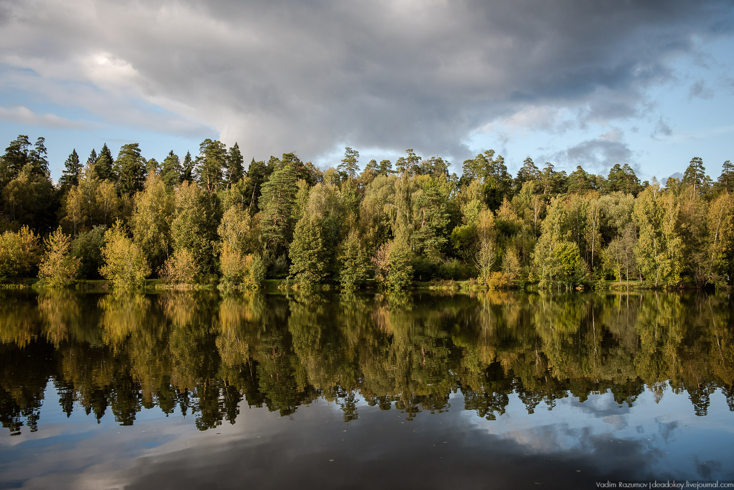 Алексеевская роща, путевой дворец Алексея Михайловича, Лосиный остров, музей охоты