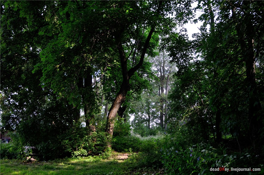 усадьба Дубки