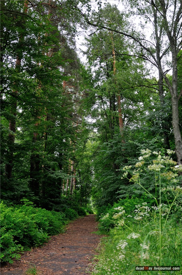 усадьба Паньково