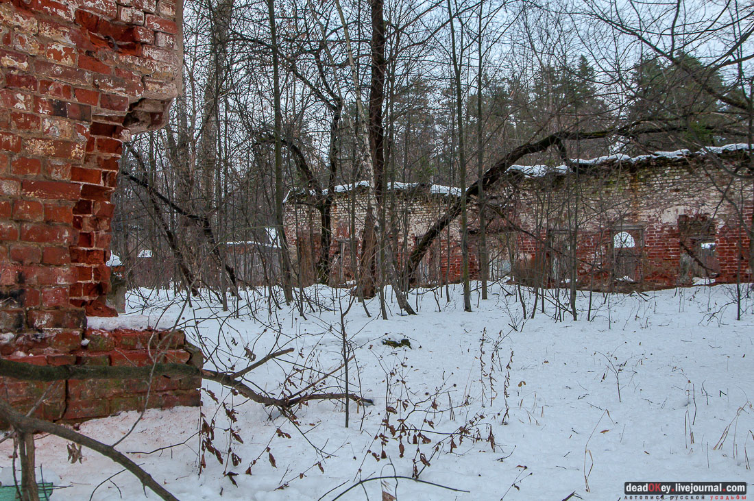 усадьба Гребнево, больничный комплекс
