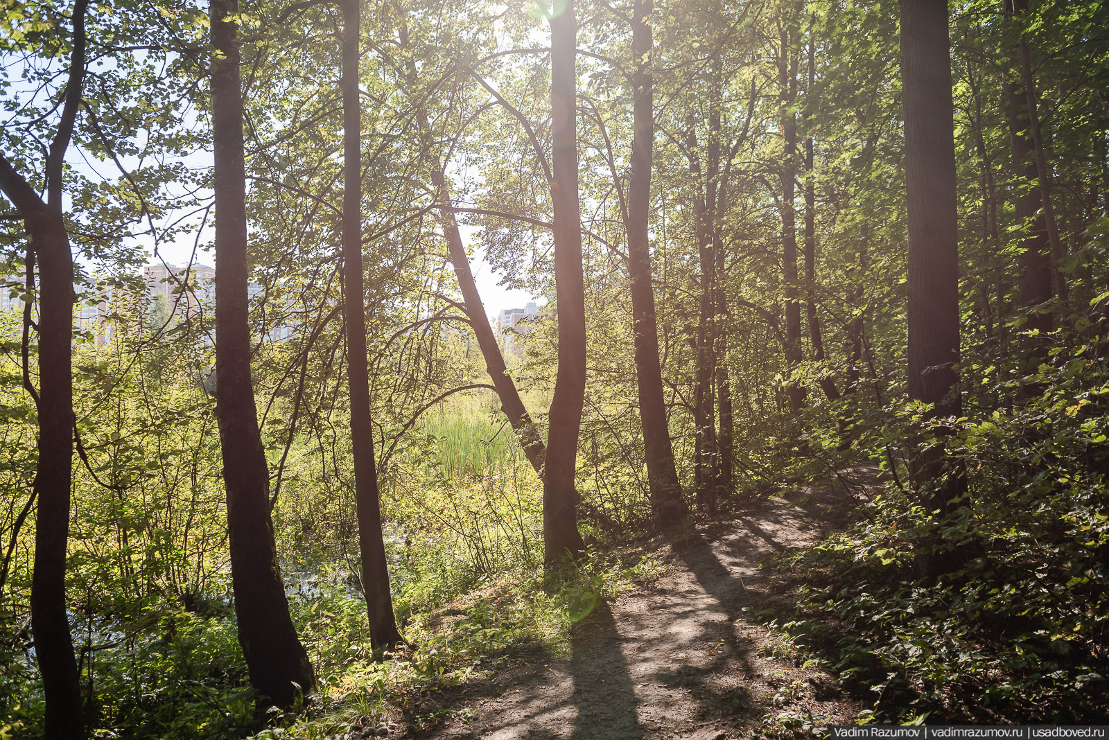 Усадьба Заболотье, парк, курганы, Долгопрудный, Москва