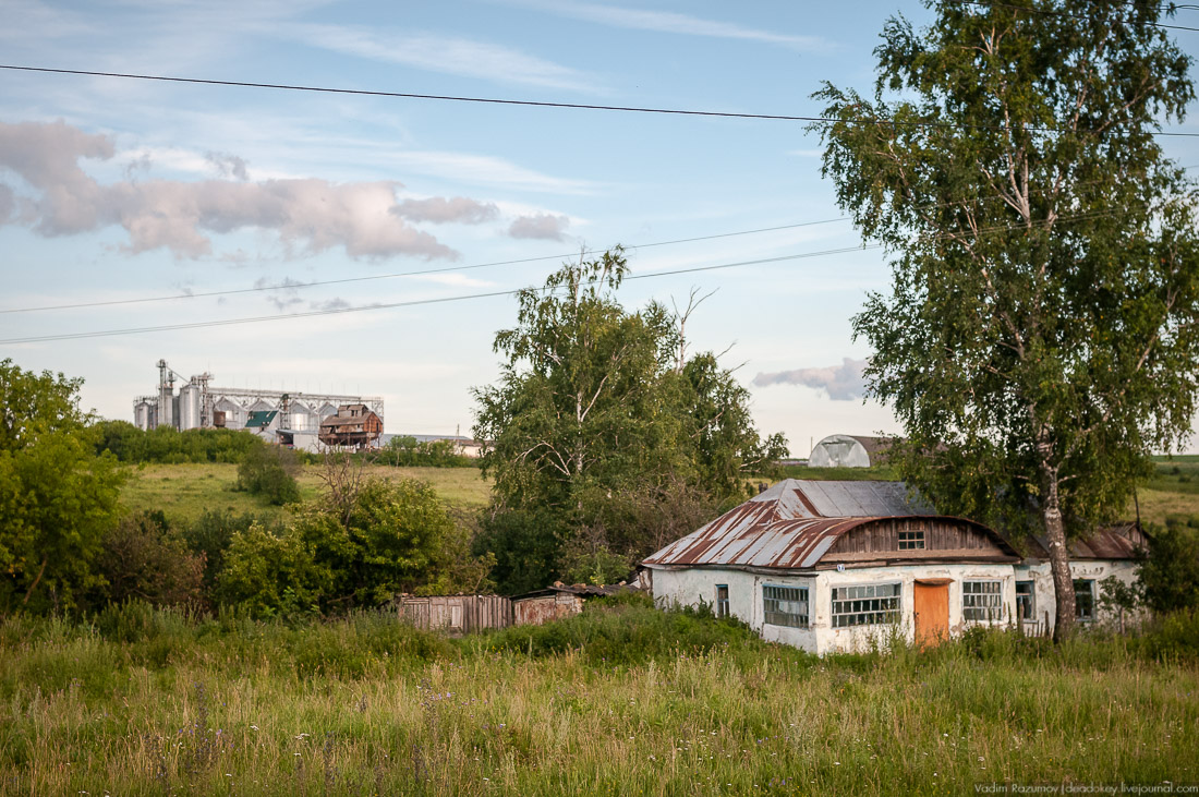 усадьба Озерки