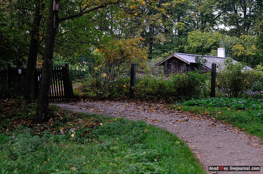 усадьба Ясная Поляна