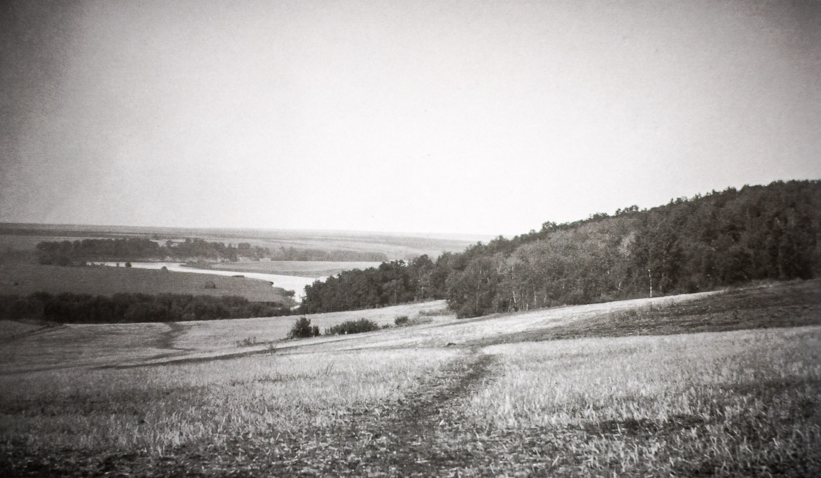 усадьба Борки, Липецкая область