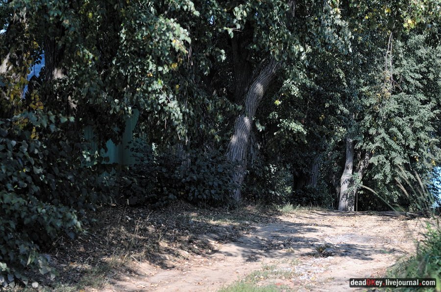 усадьба Муханово