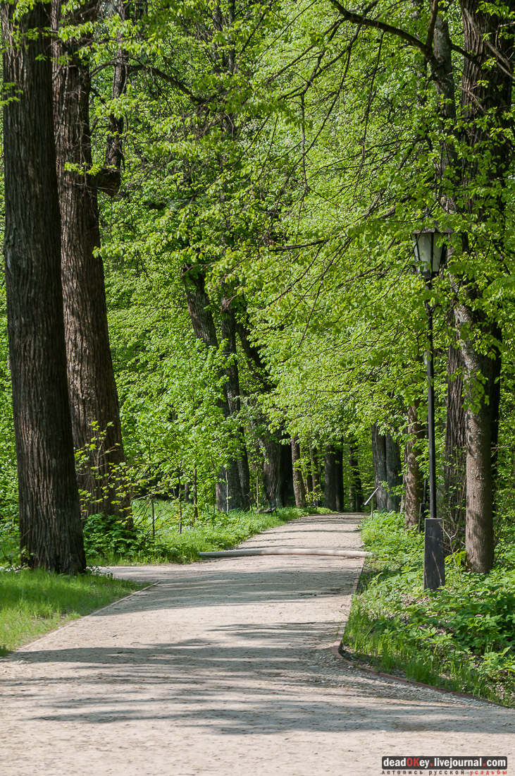 усадьба Абрамцево в кино. Первая любовь.