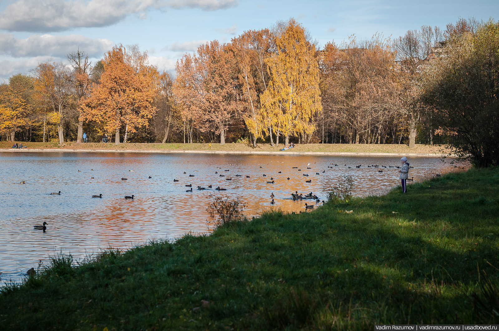 Терлецкий парк, усадьба Гиреево, Новогиреево, Перово