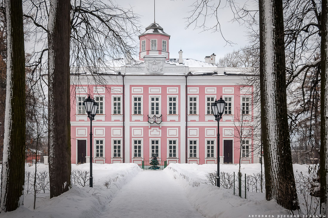 Усадебный экспресс. Вяземы - Захарово. 4 февраля 2017 года