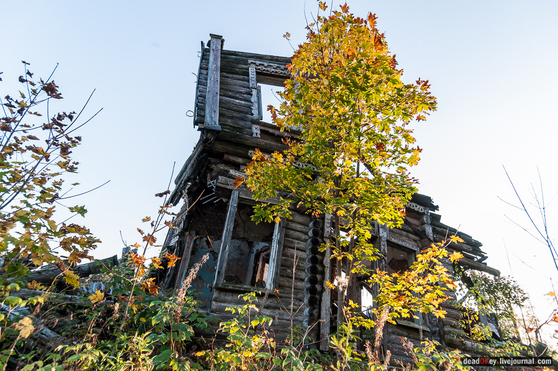 усадьба Бергов