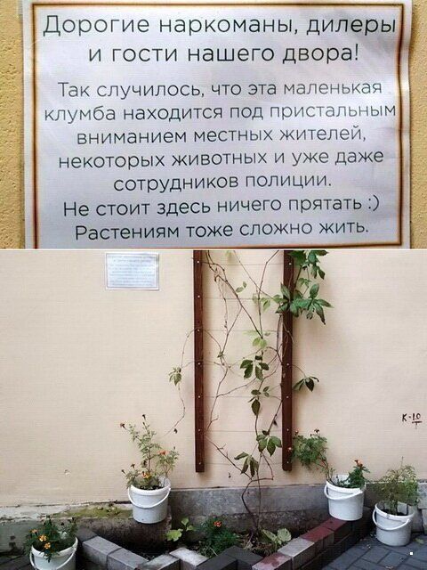 Перлы - 314 головы, Таблетка, канале, Гражданин, диване, Заряжаемся, информацию, будут, жизни, ситуации, прикольные, всяческие, ТикТоке, читаем, интересную, познавательную, хорошим, околополитические, обсуждаем, языком