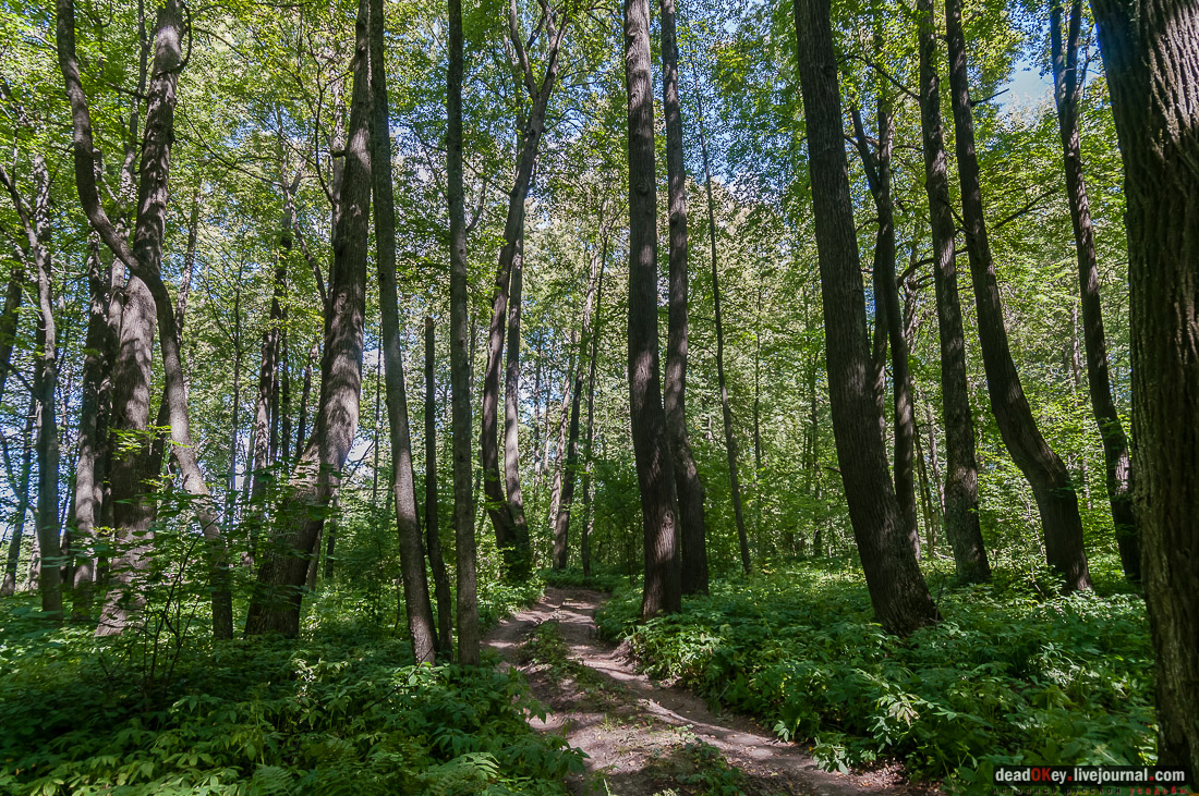 усадьба Васильевское Повалишиных