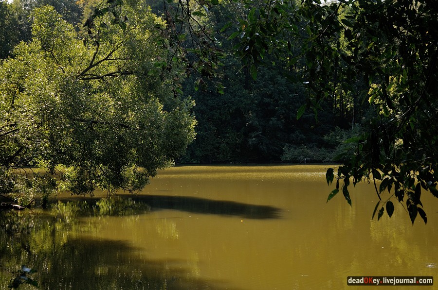 усадьба Денежниково