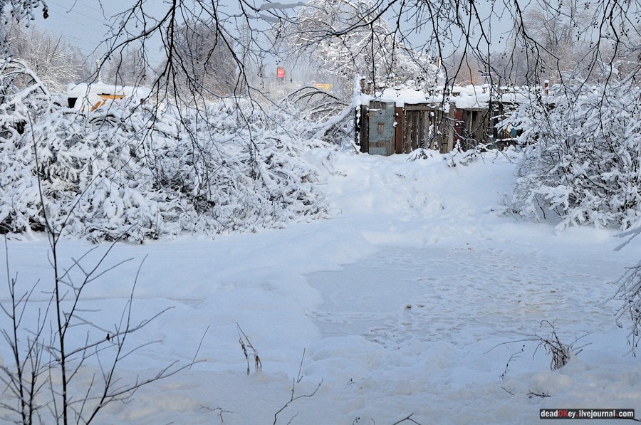 усадьба Красково