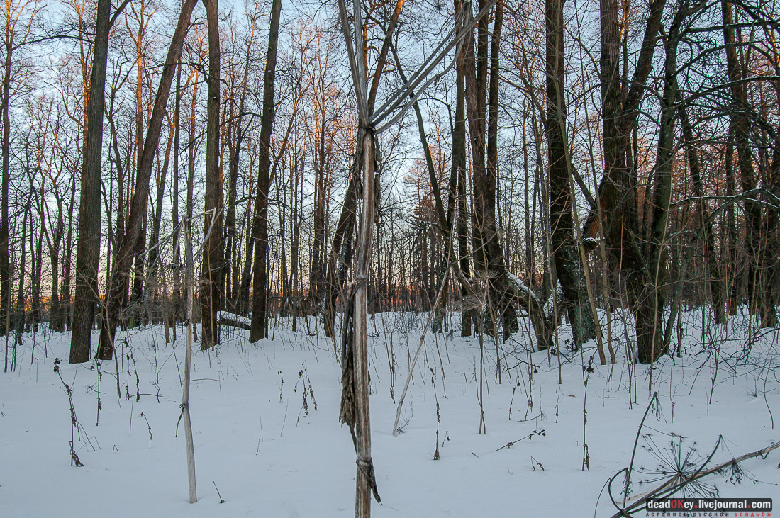 усадьба Удино