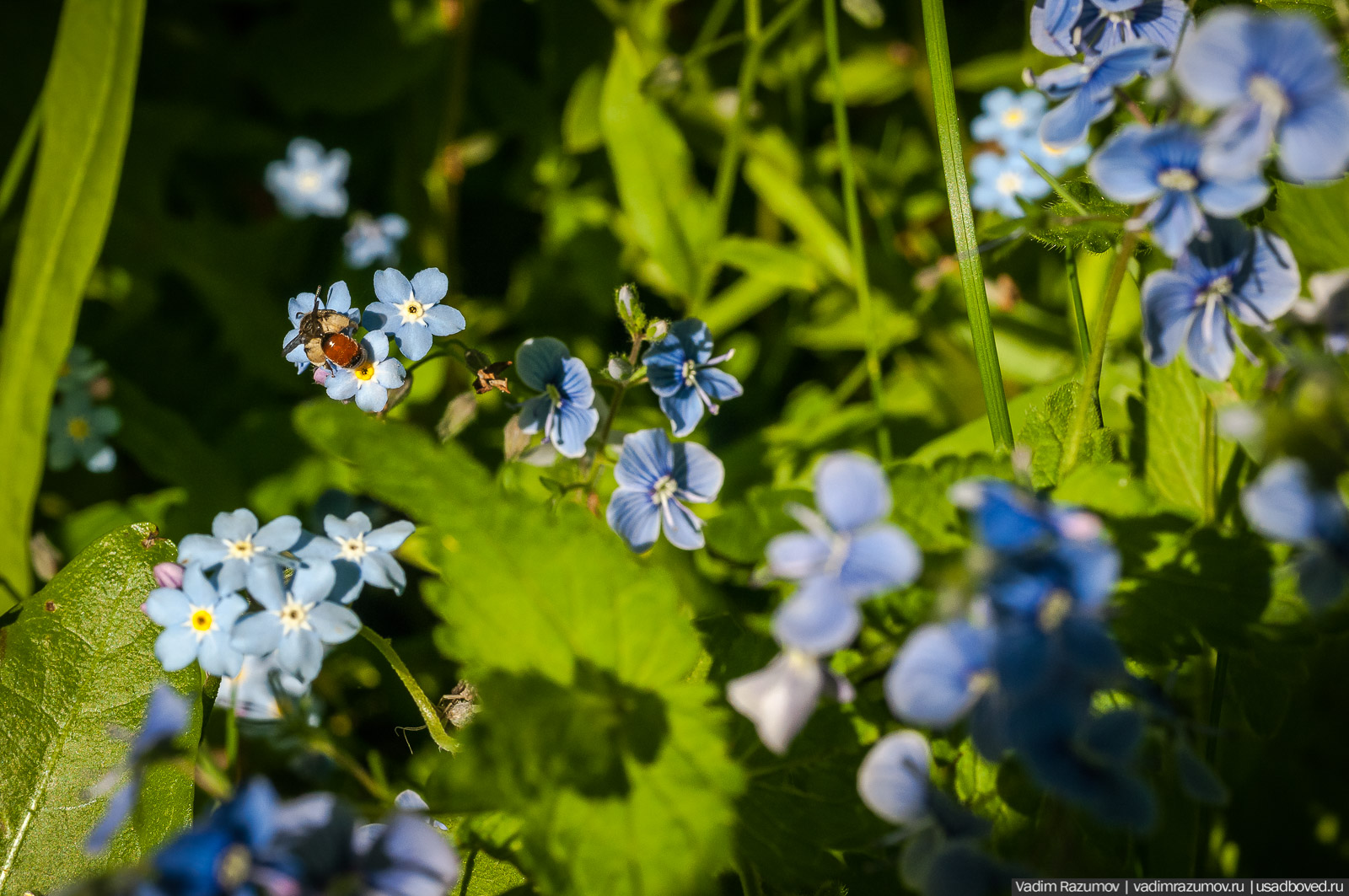 усадьба Дворяниново, Андрей Тимофеевич Болотов, Тульская область