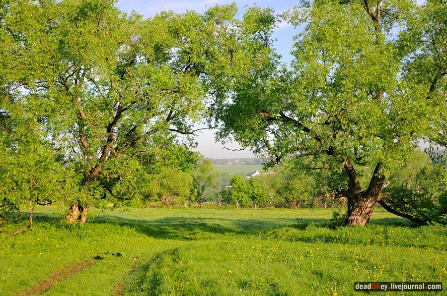 усадьба Прохорово