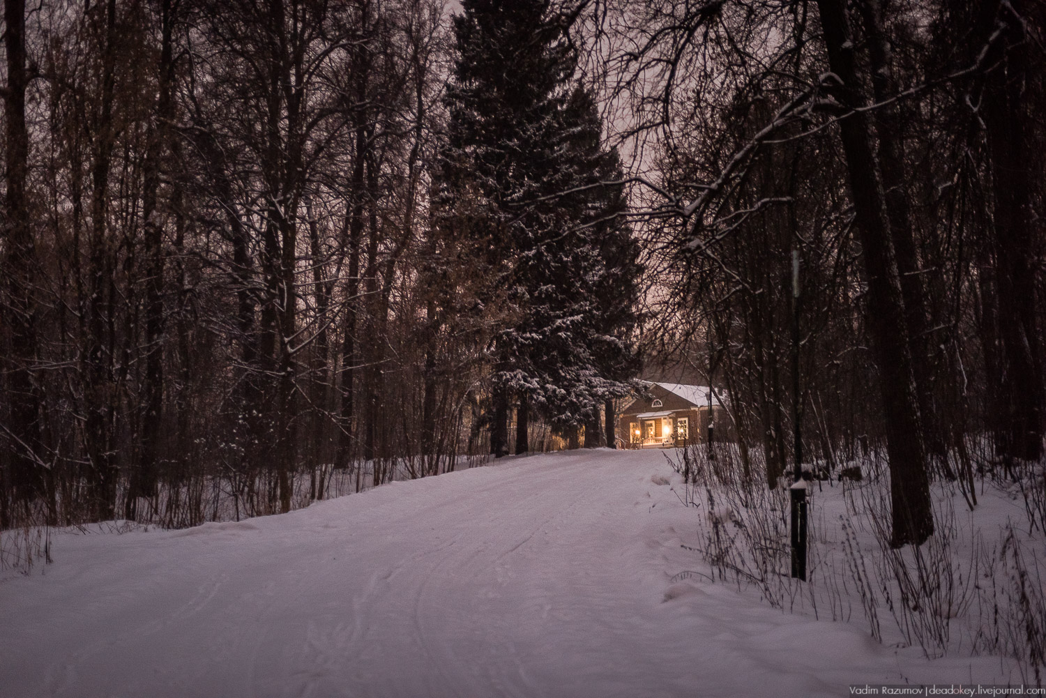 усадьба Знаменское-Садки