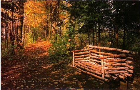 усадьба Ясная Поляна